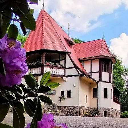 Lawendowe Wzgórze Zachelmie (Jelenia Gora)