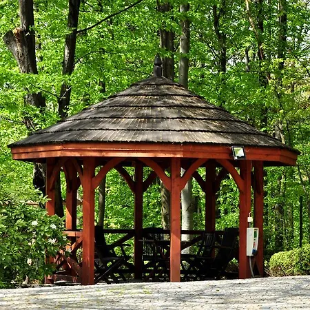 Lawendowe Wzgórze Zachelmie (Jelenia Gora)