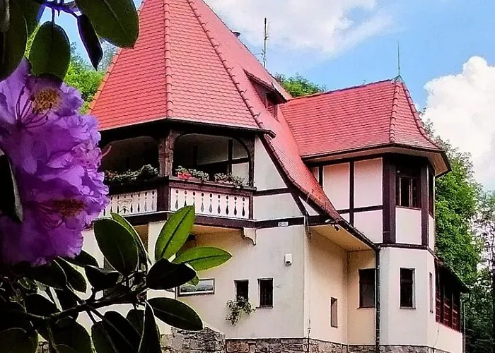 Lawendowe Wzgorze Zachelmie (Jelenia Gora)