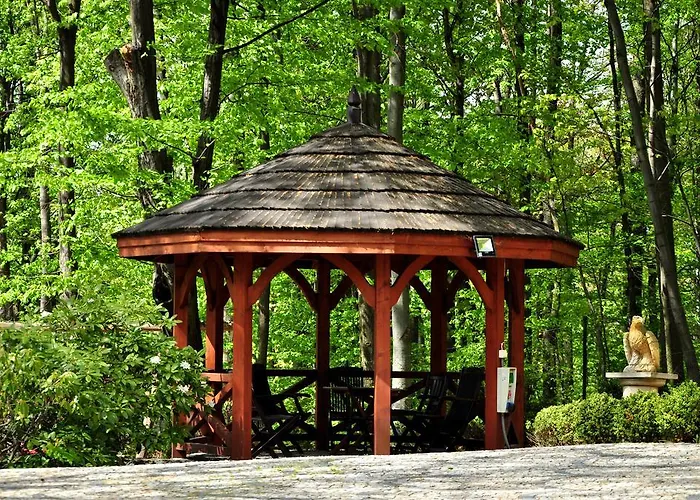 Lawendowe Wzgorze Zachelmie (Jelenia Gora)